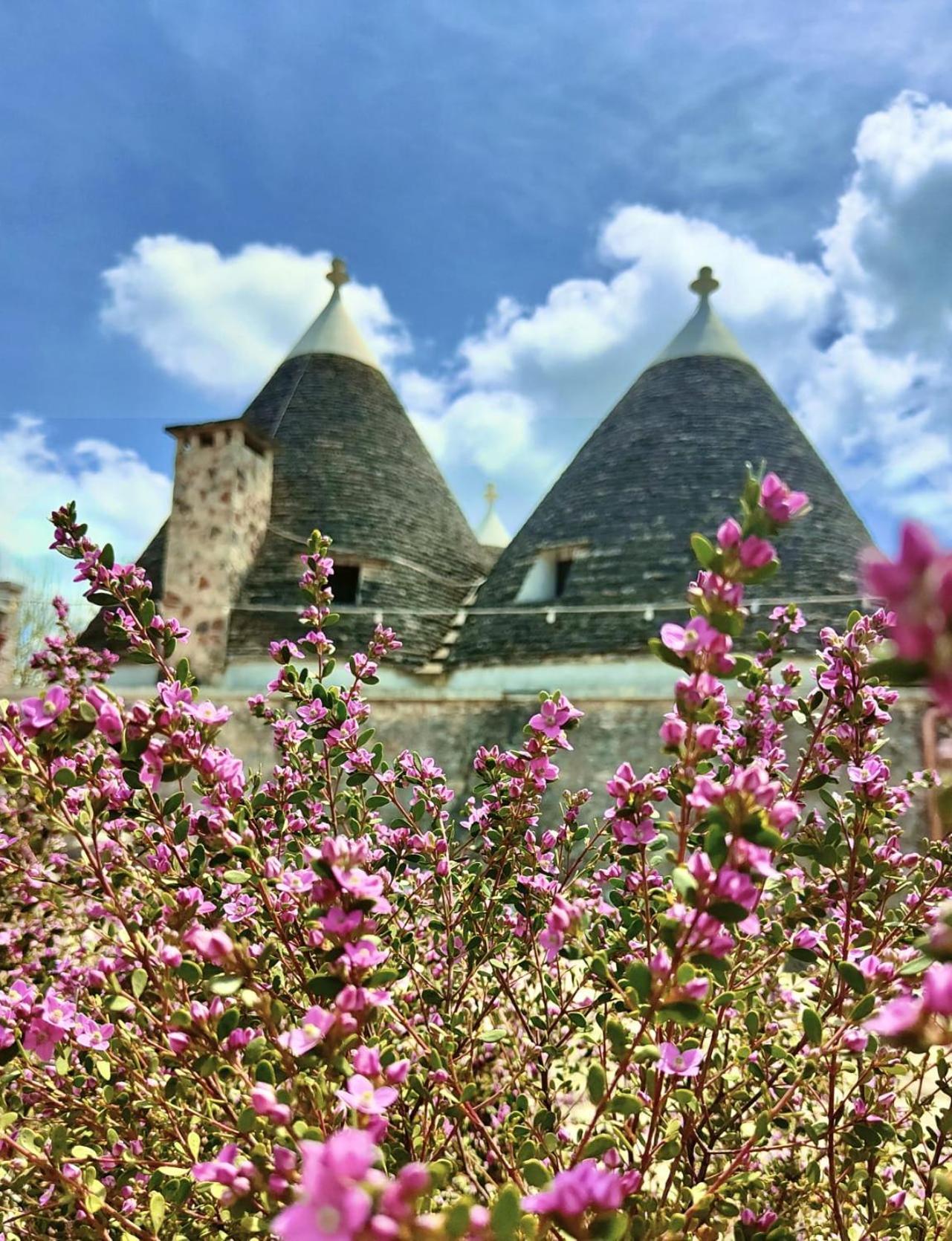 Trulli Allegretti 노치 외부 사진